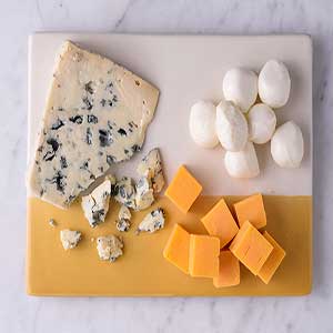 قیمت استارتر پنیر | بازرگانی رامش نژاد