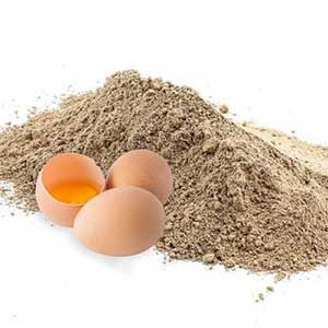 پودر سفیده تخم مرغ | بازرگانی رامش نژاد