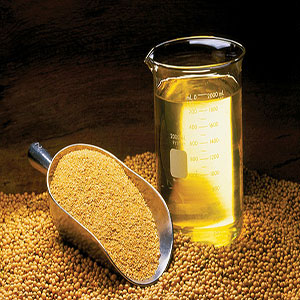 قیمت روغن خام سویا