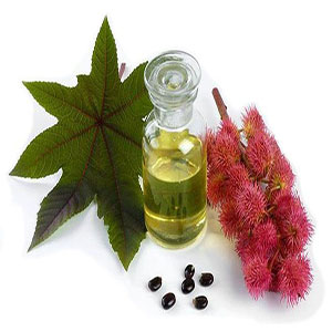 قیمت روغن کرچک هیدروژنه