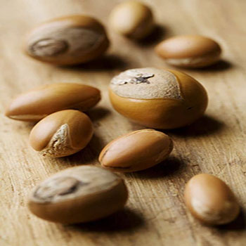 روغن جوجوبا