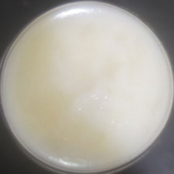 خرید روغن شی باتر اصل 