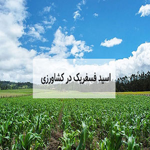 اسید فسفریک