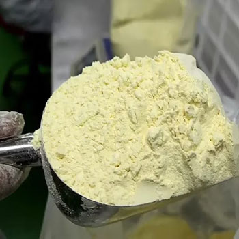 قیمت رویال ژلی