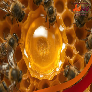 رویال ژلی