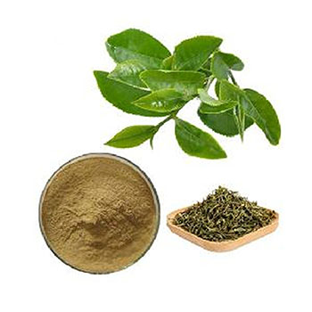 قیمت عصاره چای سیز 80 درصد