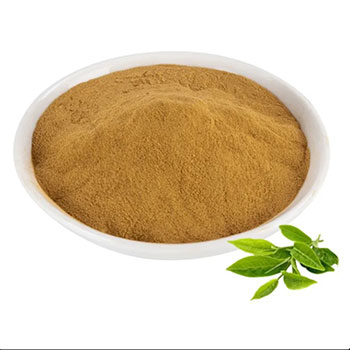خرید عصاره چای سبز 80 درصد 